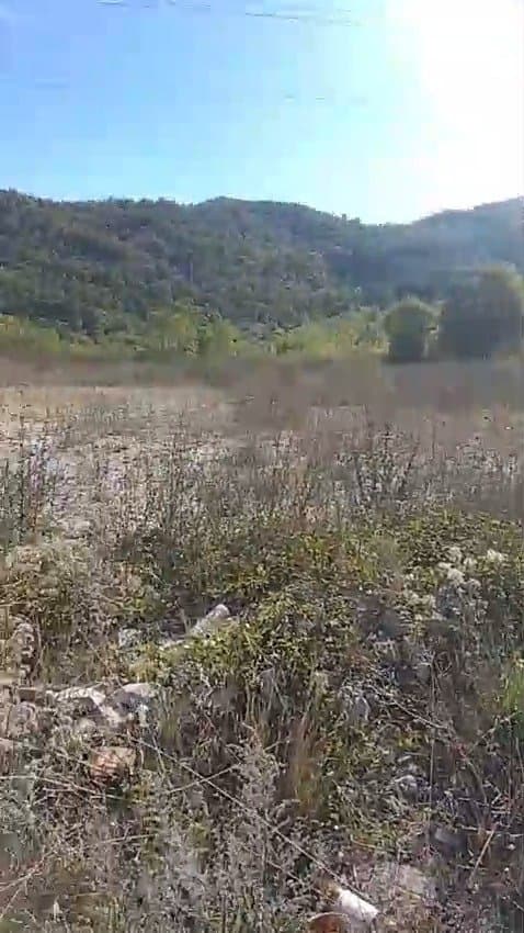 Cetinje'de Anayola Sıfır 4.000 m² Arazi – Tam Mülkiyet, Takyidatsız Tapu — 2