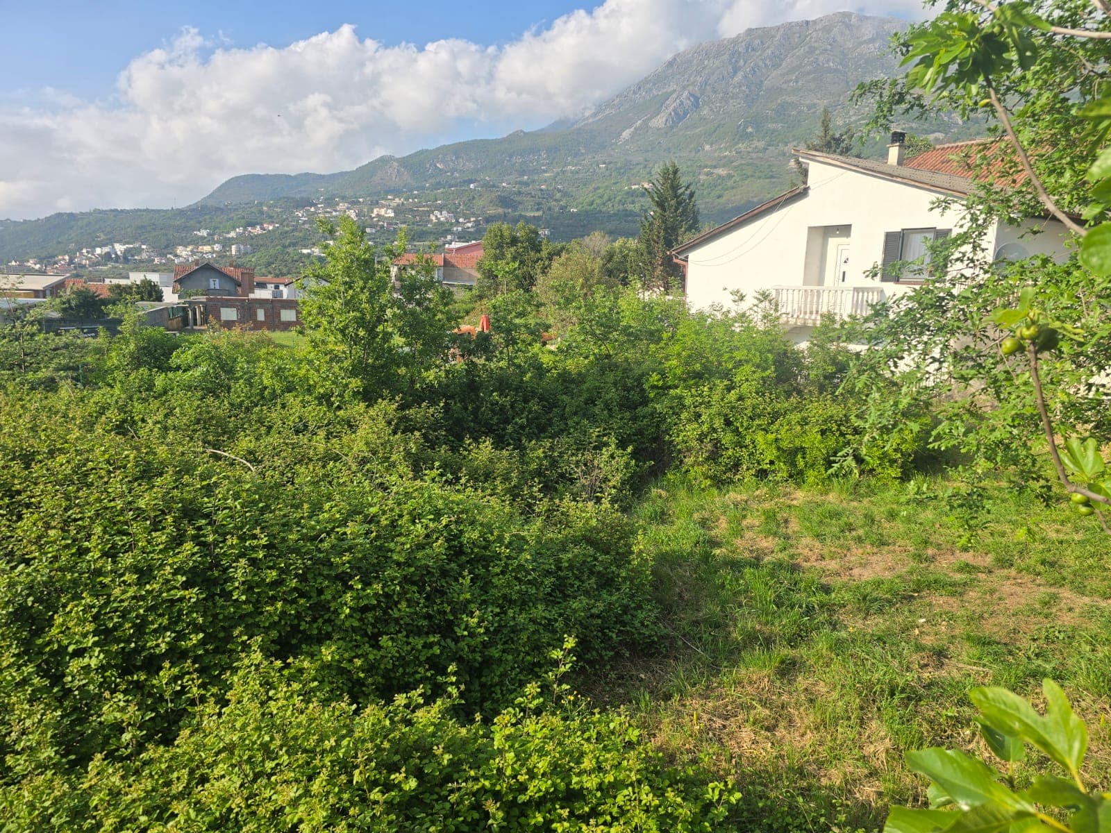 Dubrava'da Satılık İmarlı 1250 m² Arsa - Görsel 2