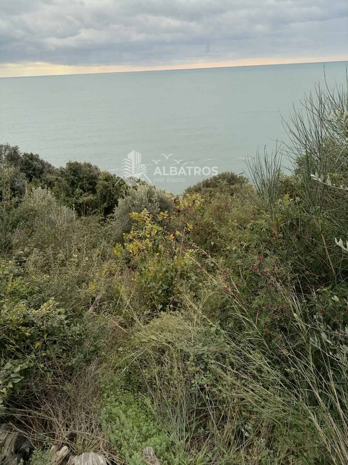 Ulcinj'de Satılık 50 Zeytin Ağaçlı Büyük Tarım Arazisi - Görsel 2