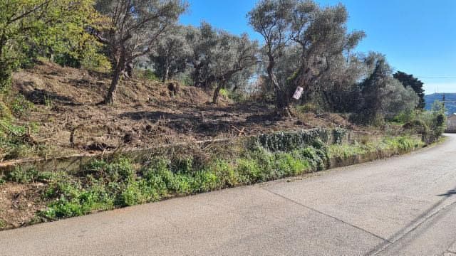 Marovići, Blagajna, Bar'da Arsa - Görsel 4