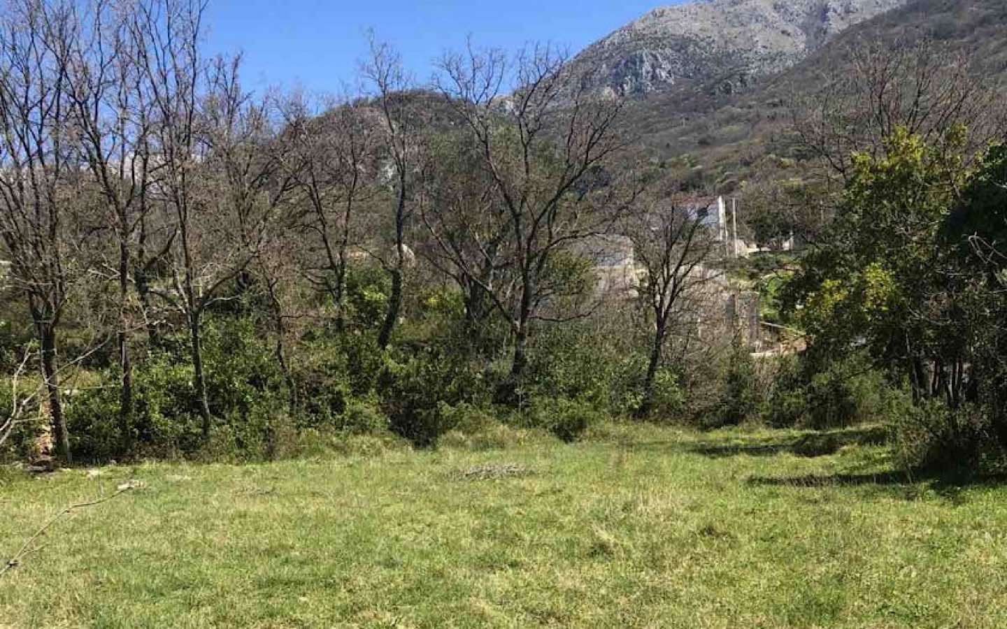 Bar, Zaljevo'da Satılık Tarım Arazisi - Görsel 3