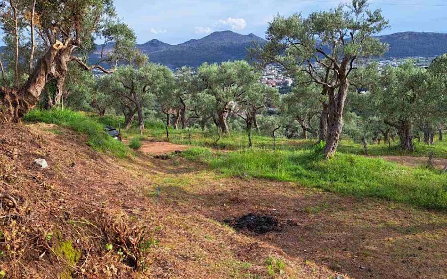 Stari Bar, Gretva Mahallesinde Satılık Arsa - Görsel 2