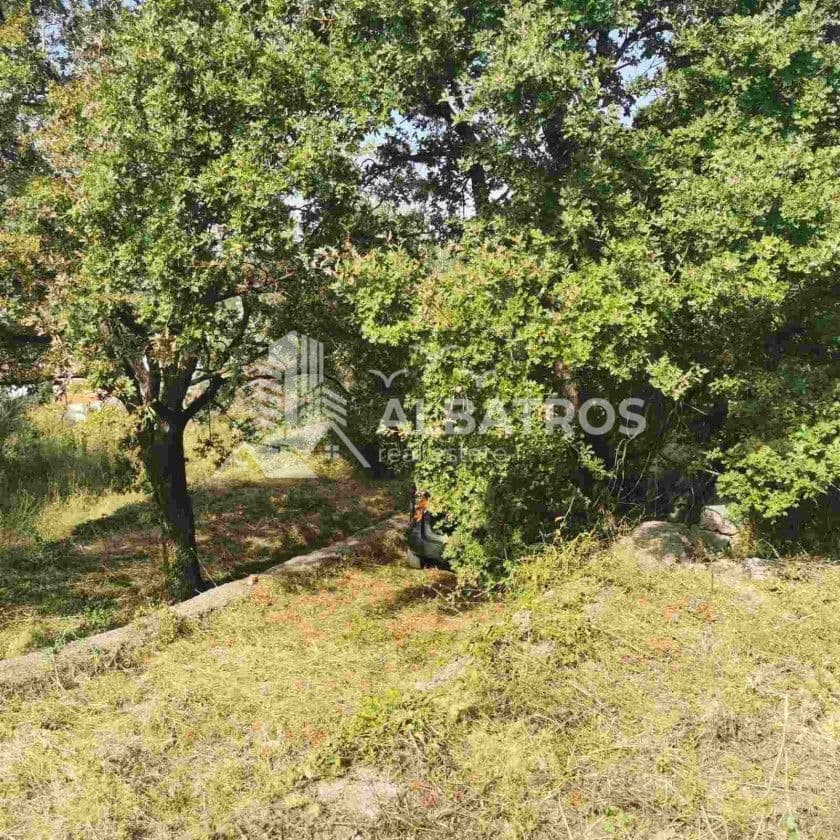 Sutomore, Zankovići'de Satılık 3200 m² İmarlı Arsa - Görsel 2