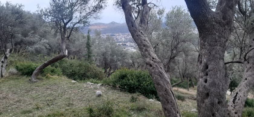 Bar, Velembusi'de Satılık Tarım Arazisi - Görsel 2