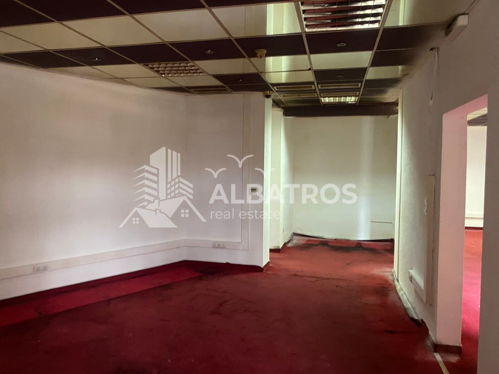 Commercial space in the center of Bar, 130 m2 — 2