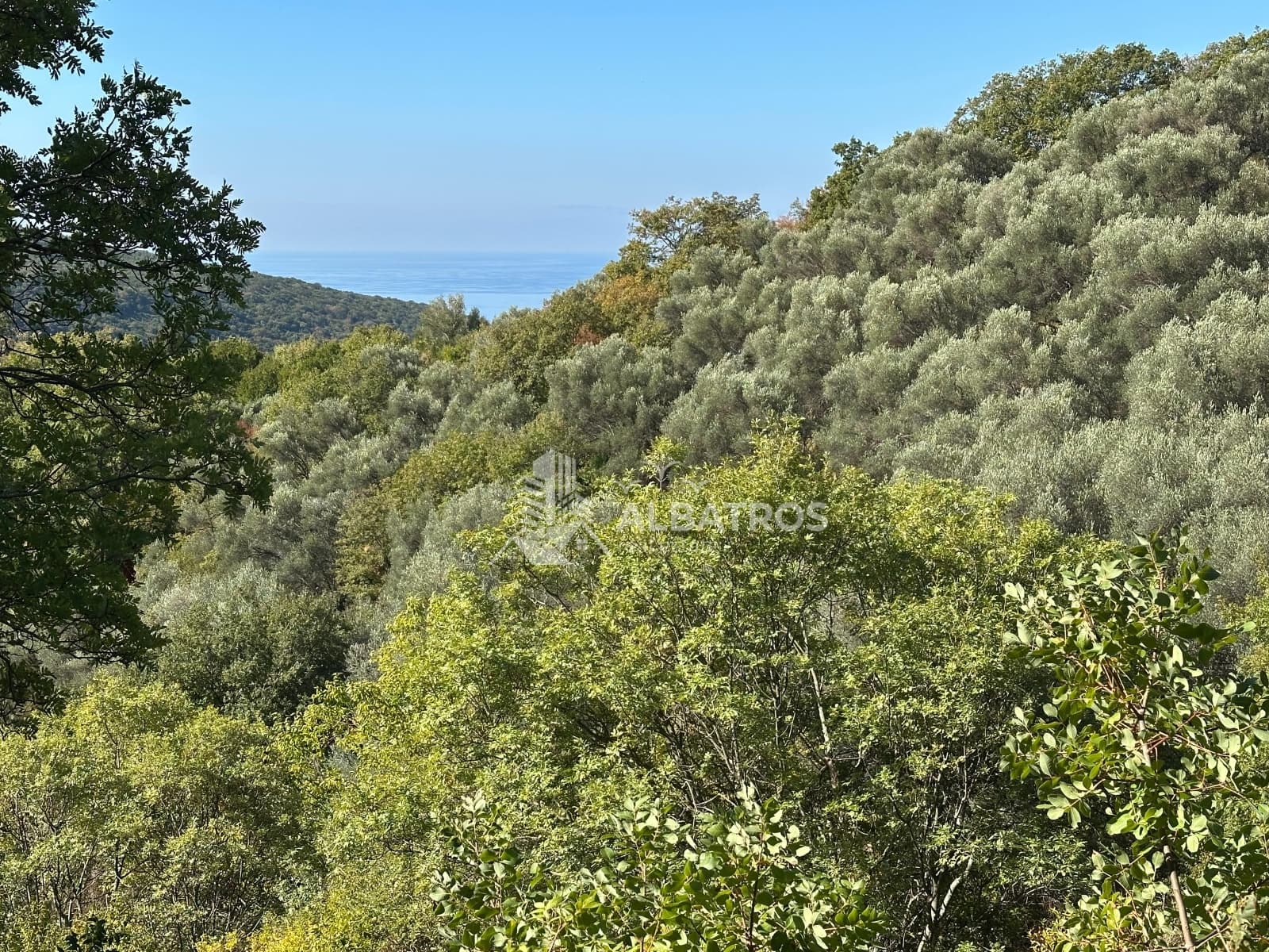 Ulcinj, Kruče'de Satılık Tarım Arazisi — 2