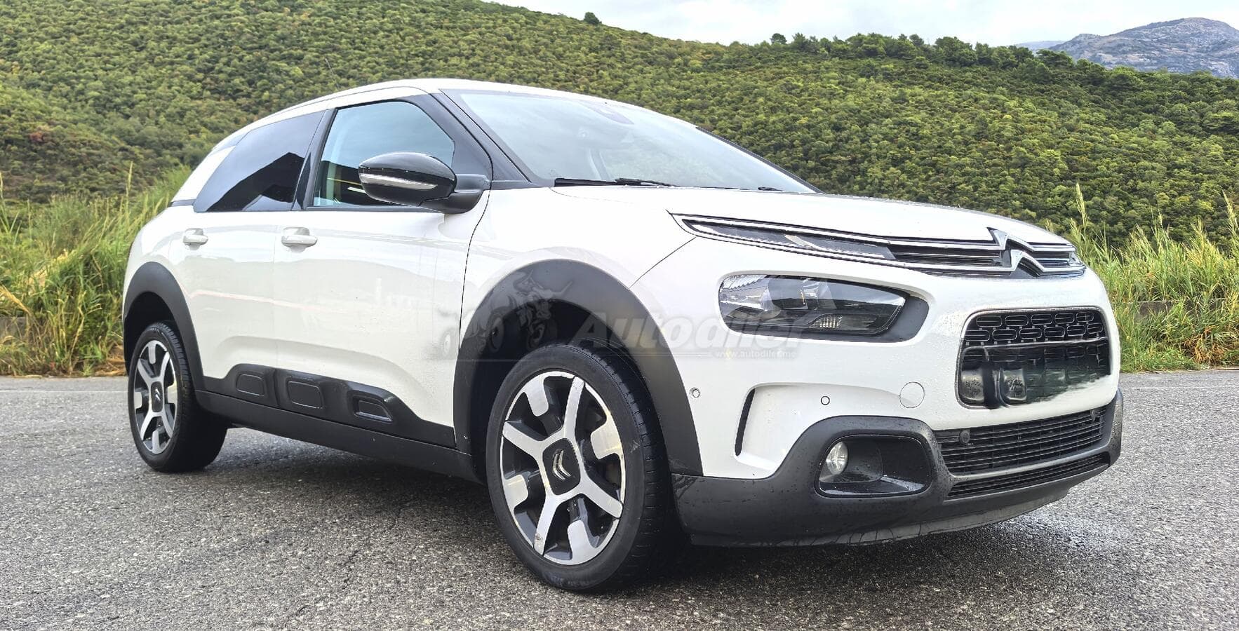 2019 Model Citroën C4 Cactus 1.5 BlueHDi Otomatik, Mükemmel Durumda