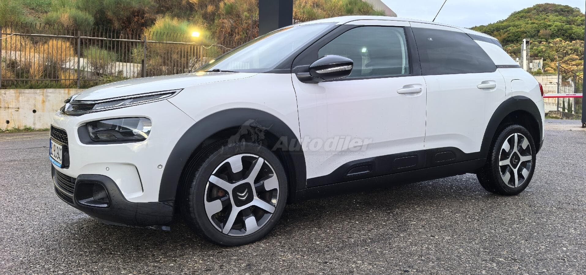 2019 Model Citroën C4 Cactus 1.5 BlueHDi Otomatik, Mükemmel Durumda — 2