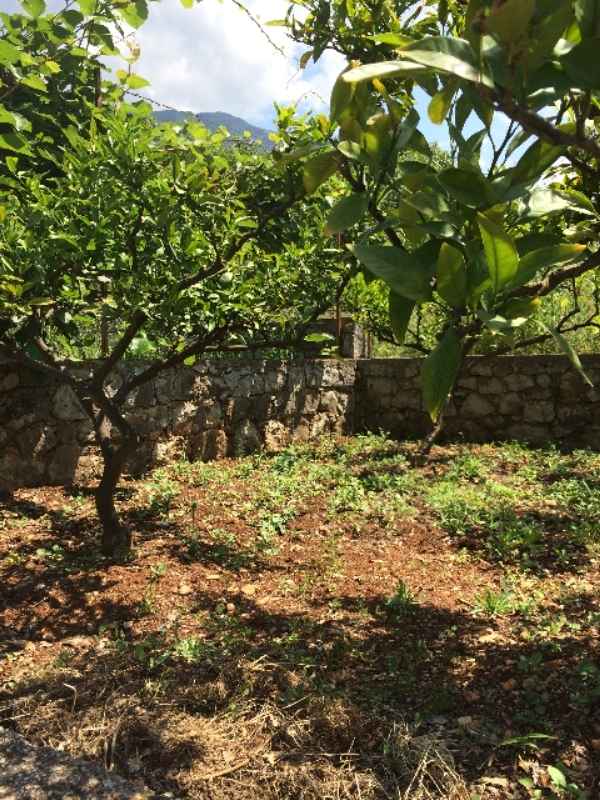 Bar'da Dobre Vode'de Küçük Bir Evi Olan Arsa - Görsel 1