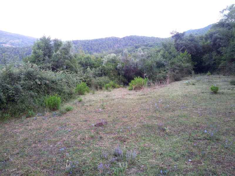 Działka w Igalo, Sutorina, Herceg Novi - Zdjęcie 3