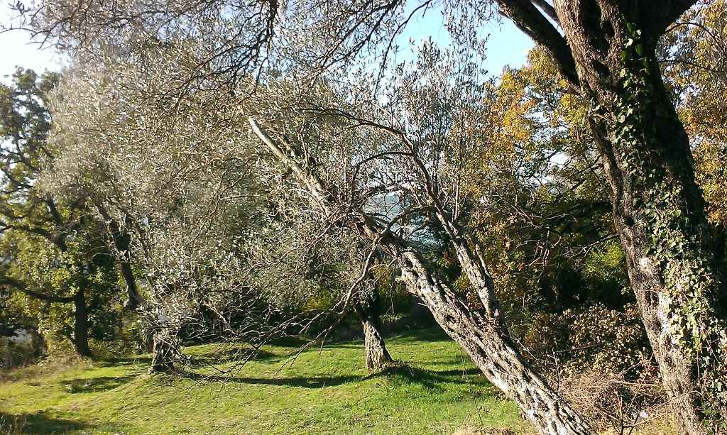 Tivat'ta Deniz Manzaralı İmarlı Arsa — 2