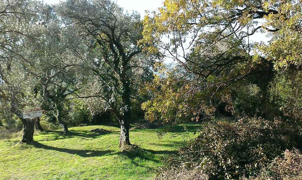 Tivat'ta Deniz Manzaralı İmarlı Arsa