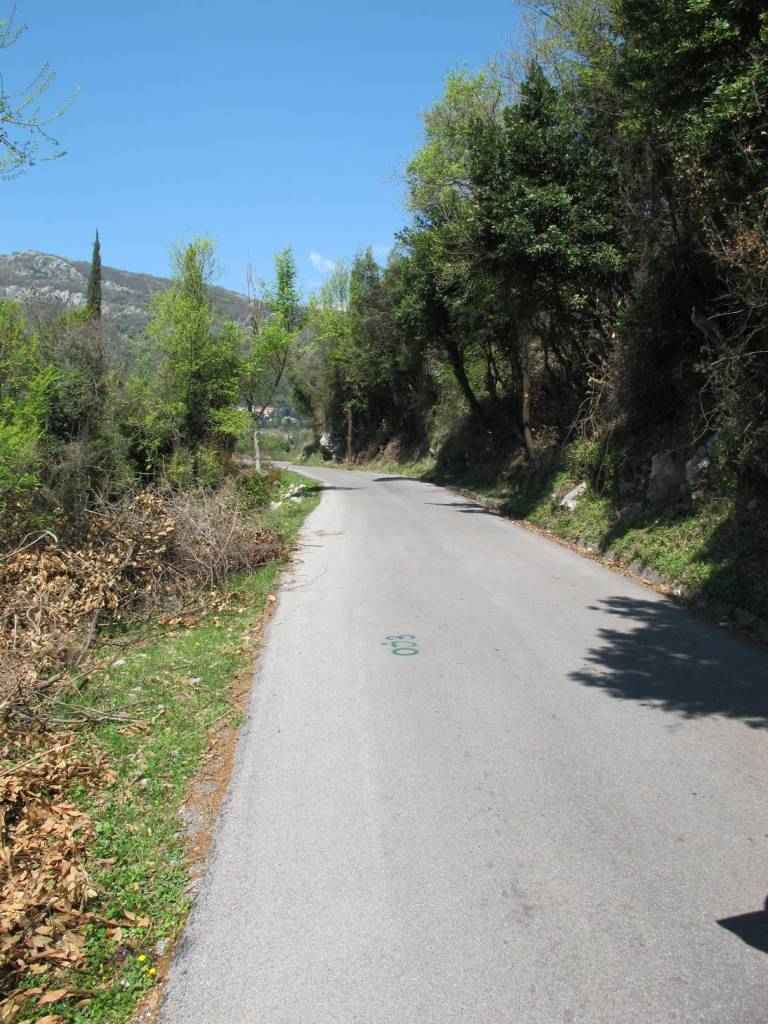 Perceel in Herceg Novi, Mojdez, 11.502 m2, met uitzicht op de bergen - Afbeelding 3