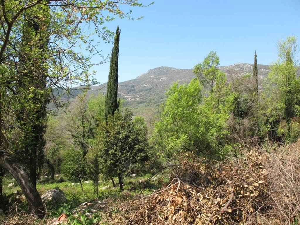 Herceg Novi, Mojdez'de 11.502 m2'lik Arsa, Dağ Manzaralı