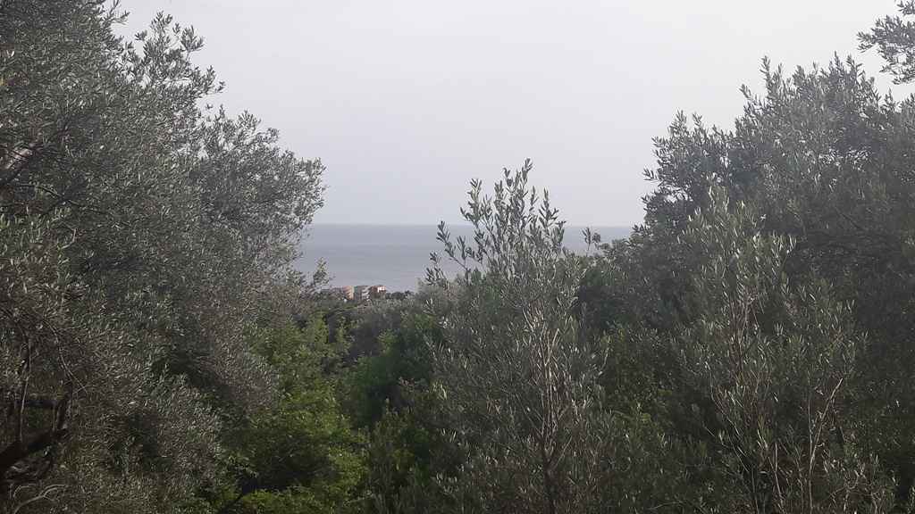 قطعة أرض مهيأة في بودفا، بولياريس، على بعد 900 م من البحر - صورة 2