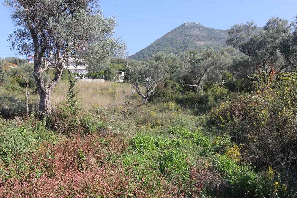 Bar'da, 1312 m2'lik Arsa, Denize 1 km - Görsel 1