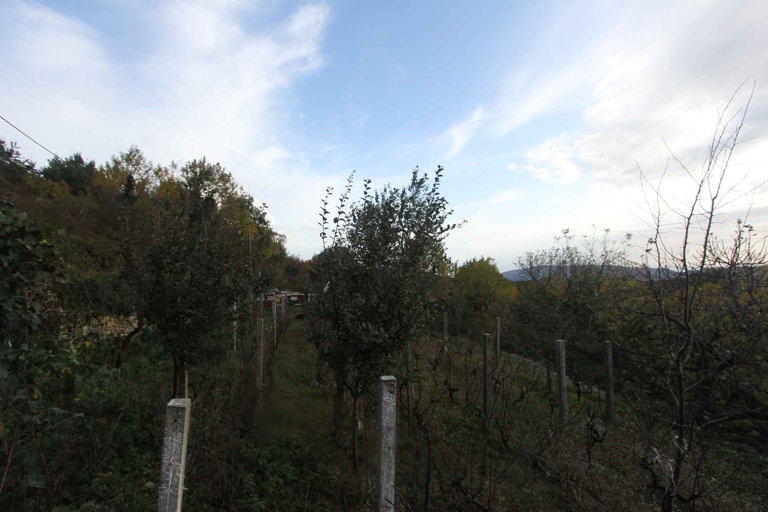 Herceg Novi, Mokrine'de Satılık Arsa — 2
