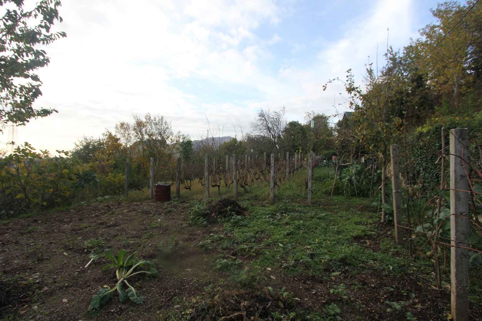 Plot in Mokrine, Herceg Novi - Image 4