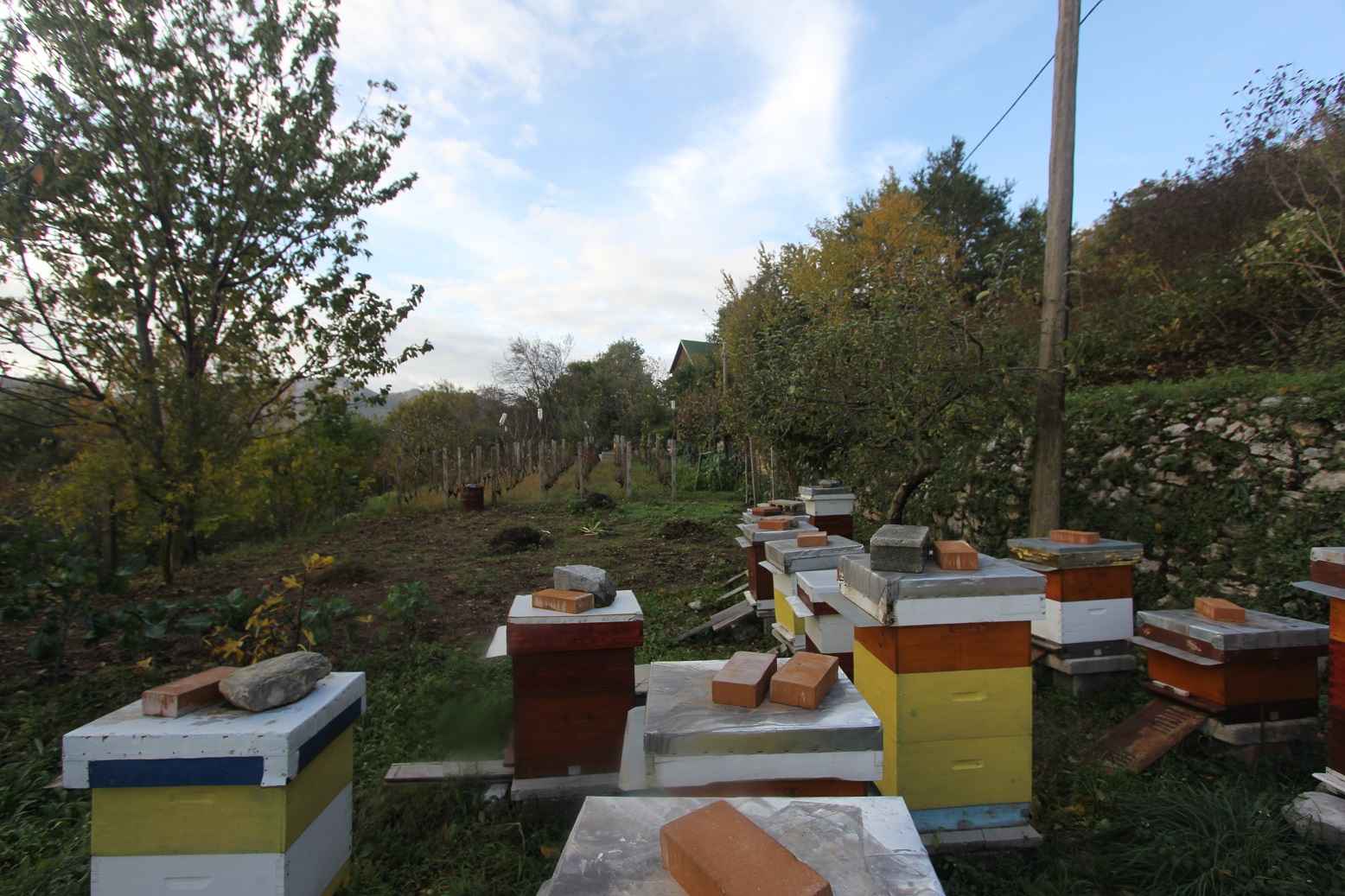 Plot in Mokrine, Herceg Novi - Image 5