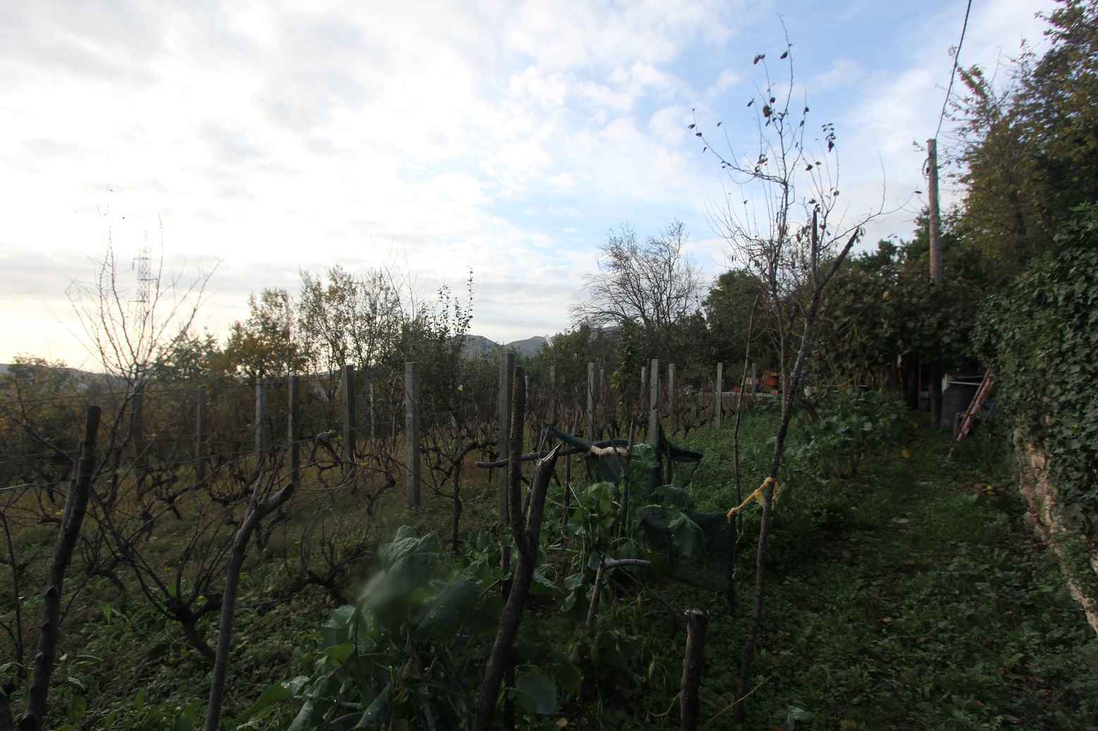 Plot in Mokrine, Herceg Novi - Image 3