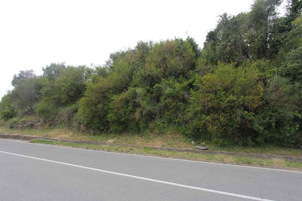 Działka w Đenovići, 150 m od morza, z widokiem na morze - Zdjęcie 2