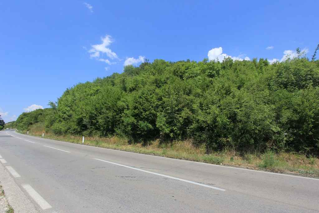 قطعة أرض في رادانوفيتشي مع وصول مباشر إلى الطريق الأدرياتيكي الرئيسي - صورة 5