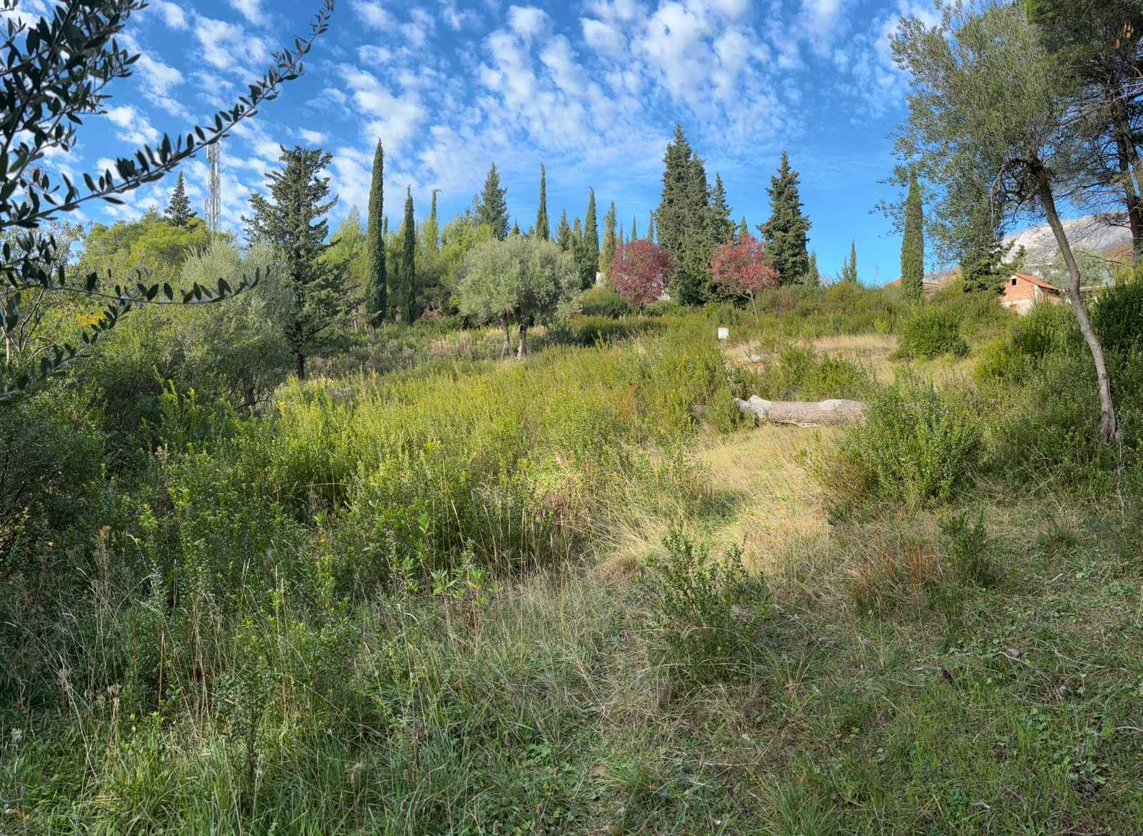 Działka 1334 m² w Mojdeżu, Herceg Novi z widokiem na naturę - Zdjęcie 16