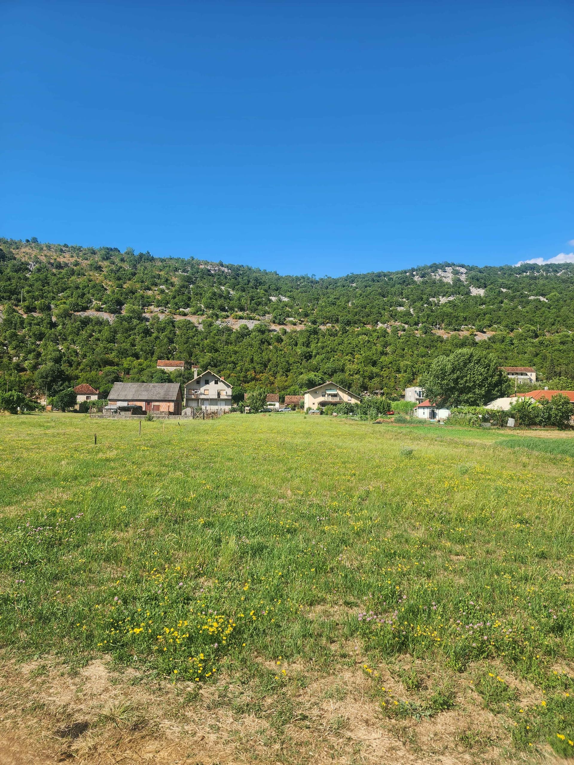 Porodična imovina sa 3800 m² zemljišta, voćnjakom i dvije kuće blizu Danilovgrada
