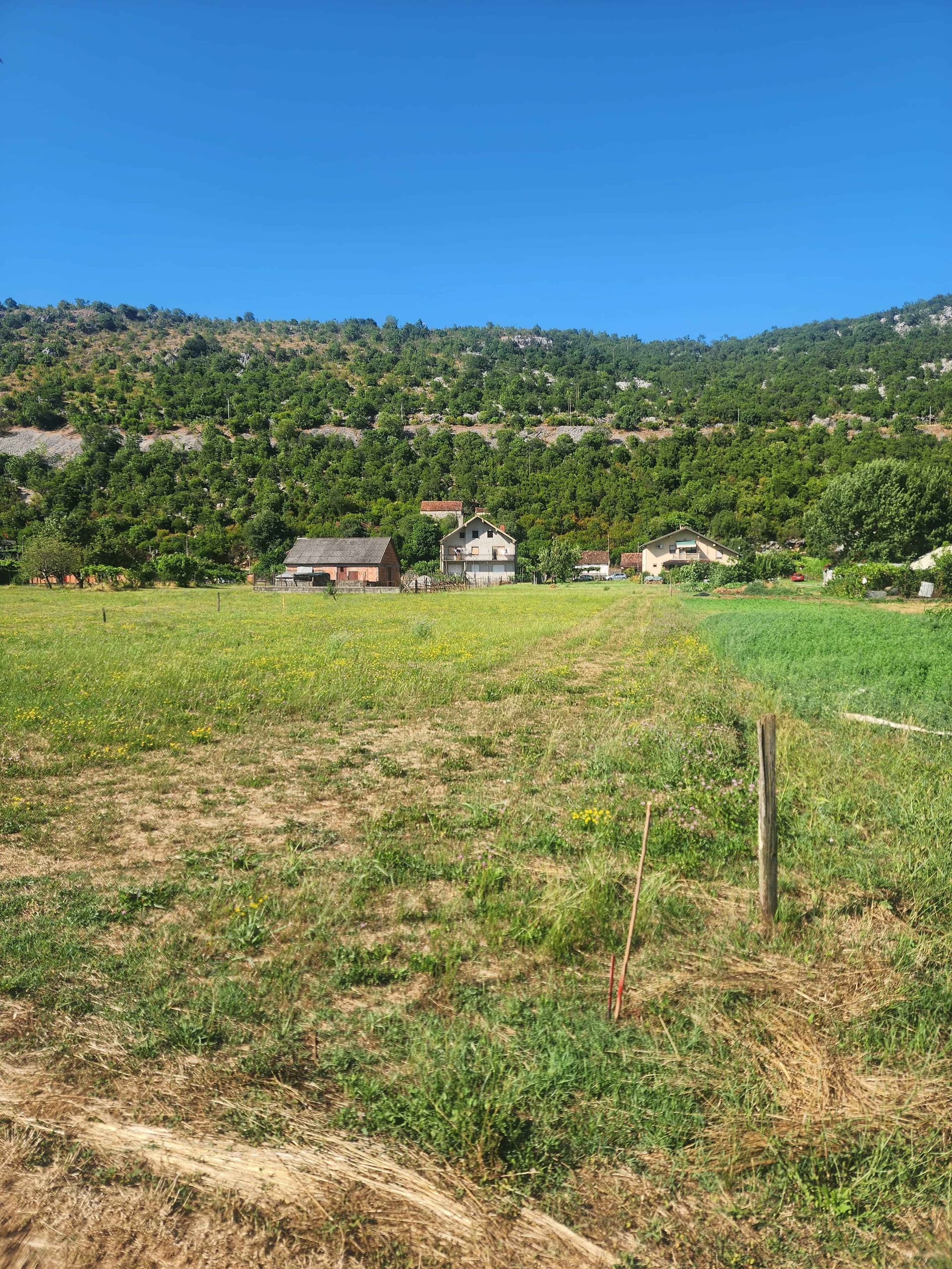 Family property with 3800 m² land, orchard and two houses near Danilovgrad - Image 2