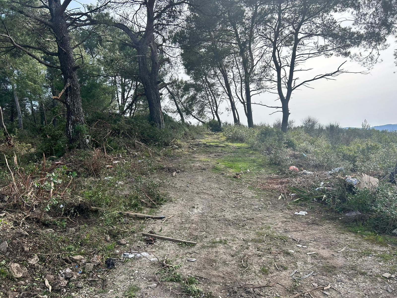 Urbanisiertes Grundstück mit Meerblick in Tivat, Mrčevac, 1602 m² - Bild 3
