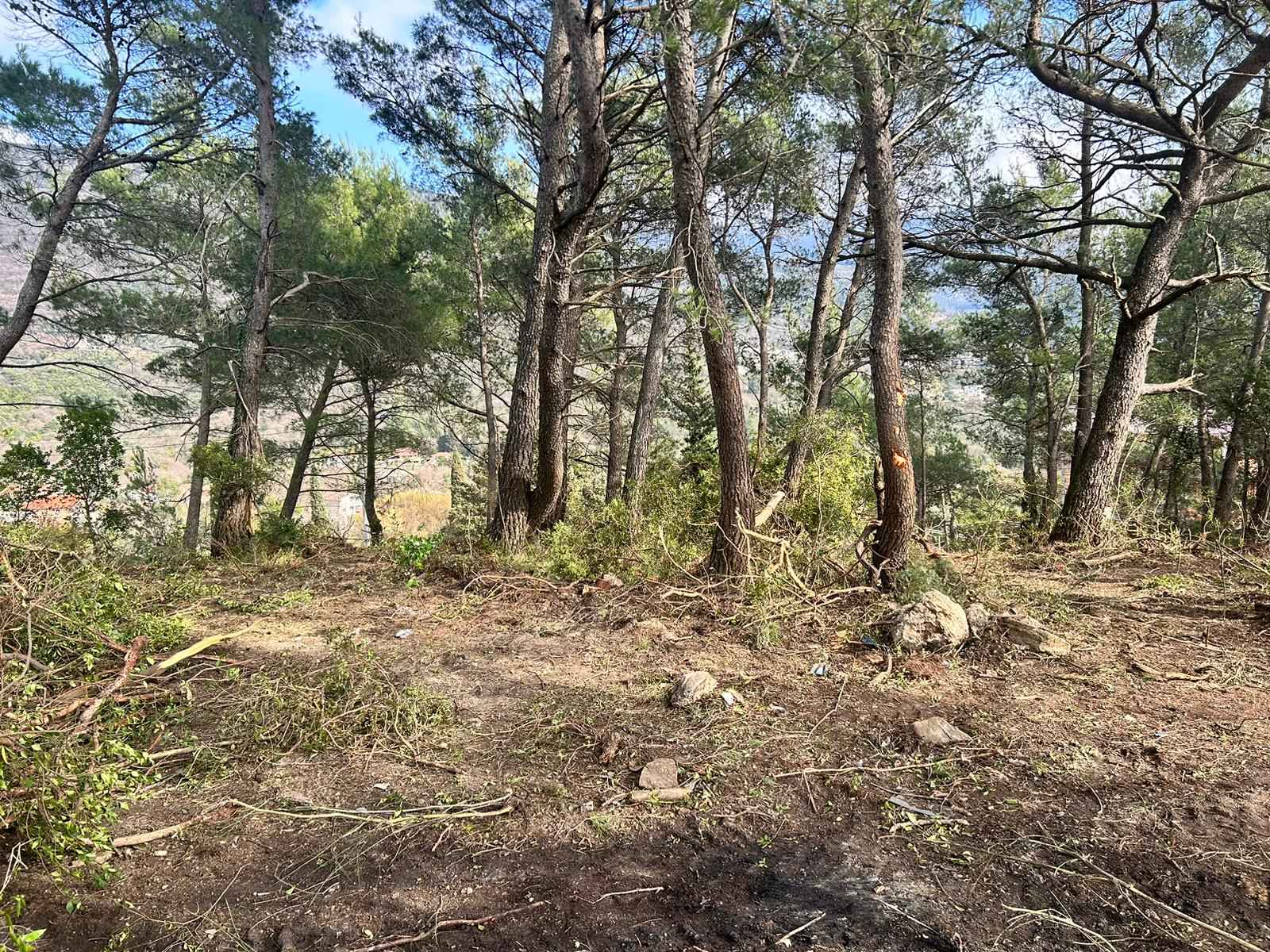 Urbanisiertes Grundstück mit Meerblick in Tivat, Mrčevac, 1602 m² - Bild 5