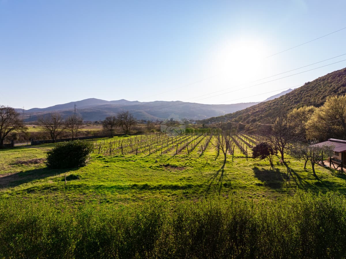 Podgorica, Beri'de Bağlı 13.000 m2 Arazi Satılık - Görsel 3