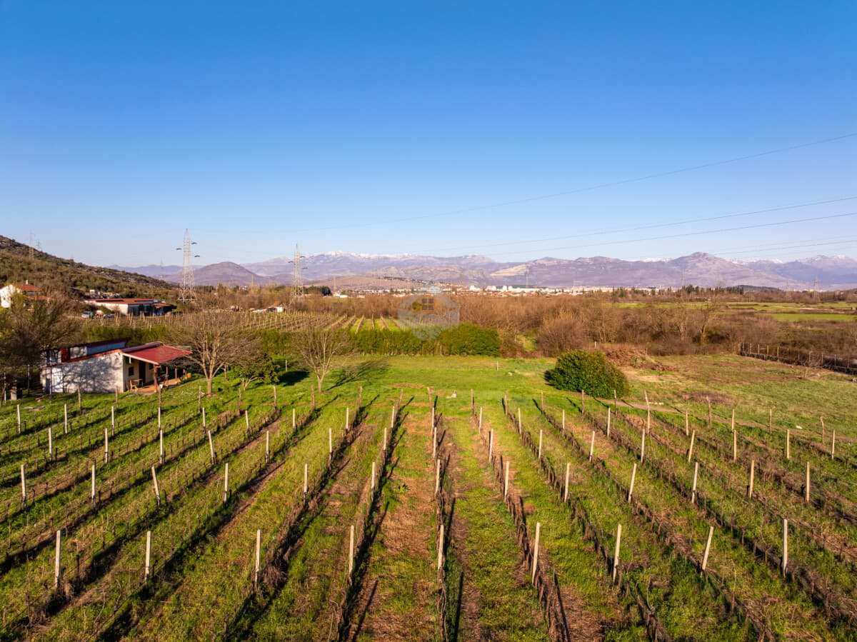 Podgorica, Beri'de Bağlı 13.000 m2 Arazi Satılık — 2