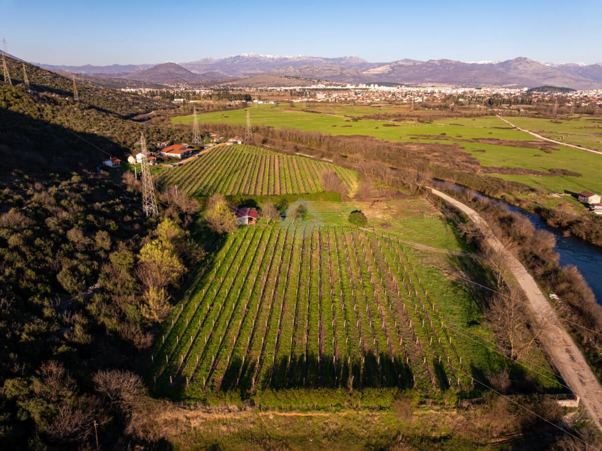 Podgorica, Beri'de Bağlı 13.000 m2 Arazi Satılık - Görsel 7