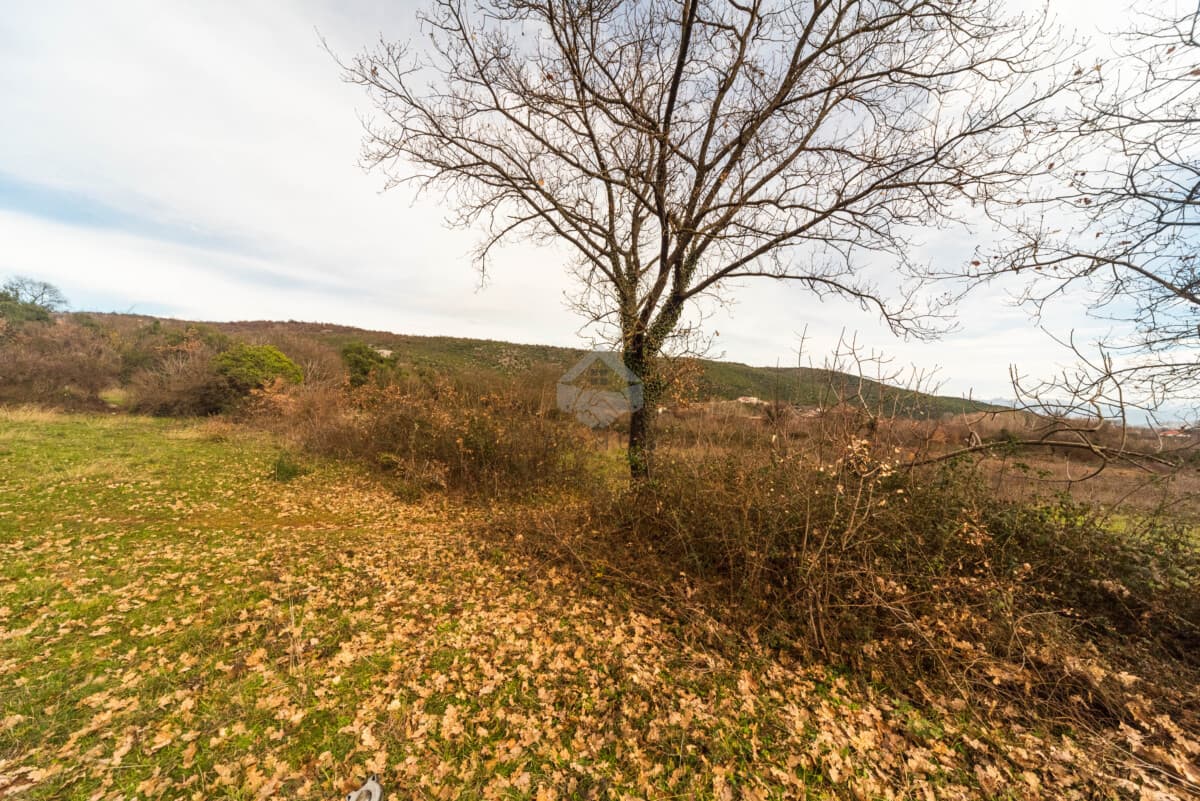 Terrain de 5.200 m² à vendre, Beri, Podgorica - Image 4