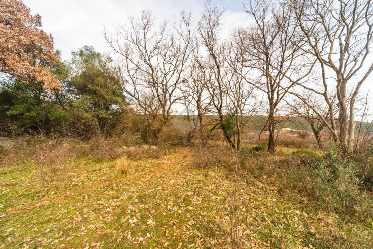 Terrain de 5.200 m² à vendre, Beri, Podgorica - Image 9