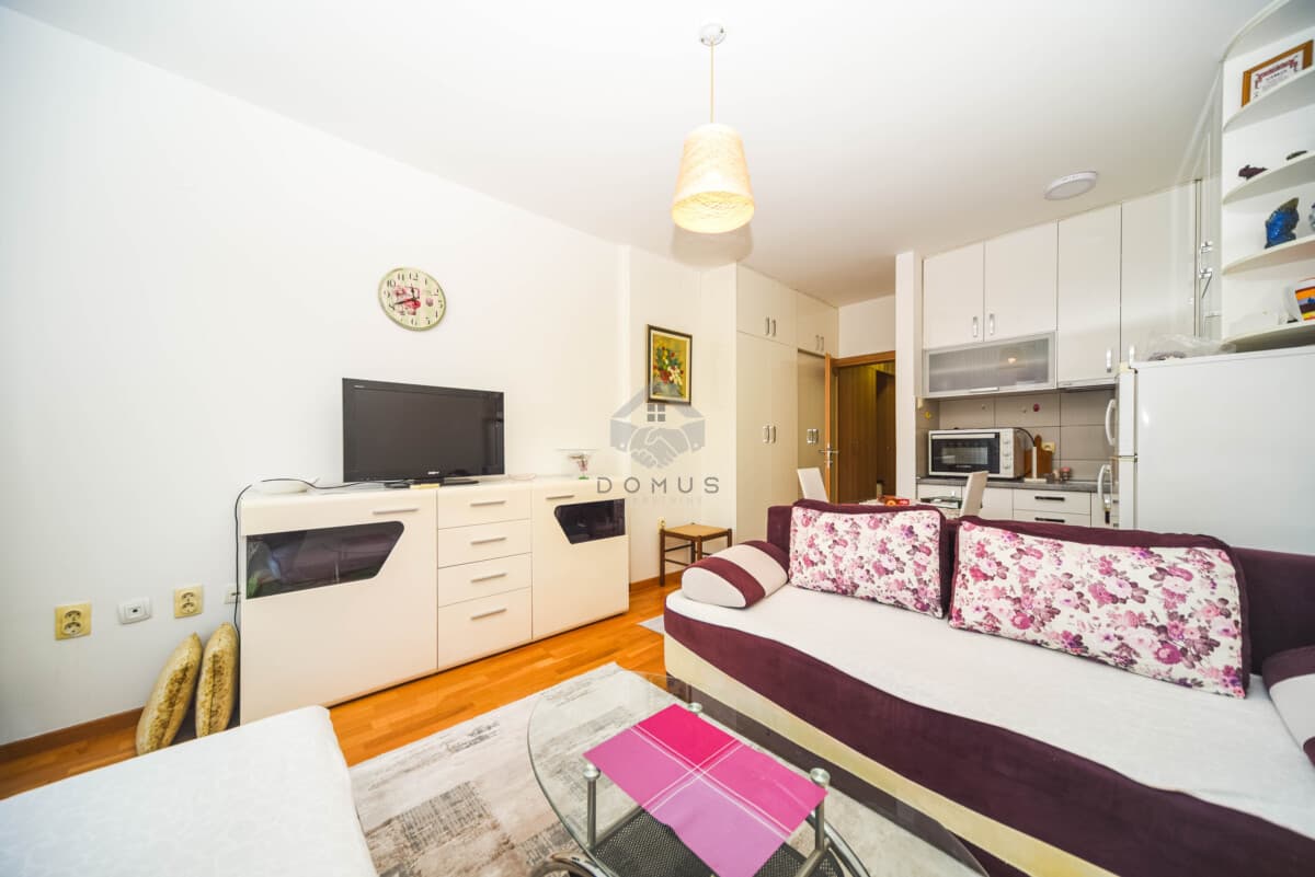 Namještena garsonjera 30 m² za izdavanje, Tuški Put, Podgorica - Slika 3