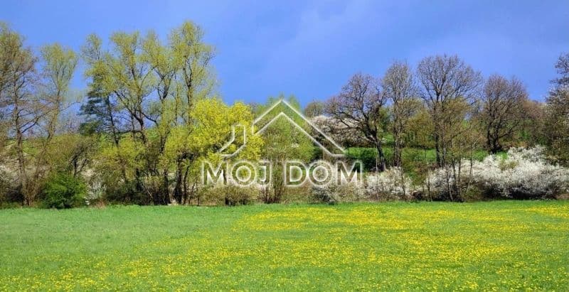 Działka o powierzchni 4607 m² na sprzedaż, Grbe, Danilovgrad - Zdjęcie 4