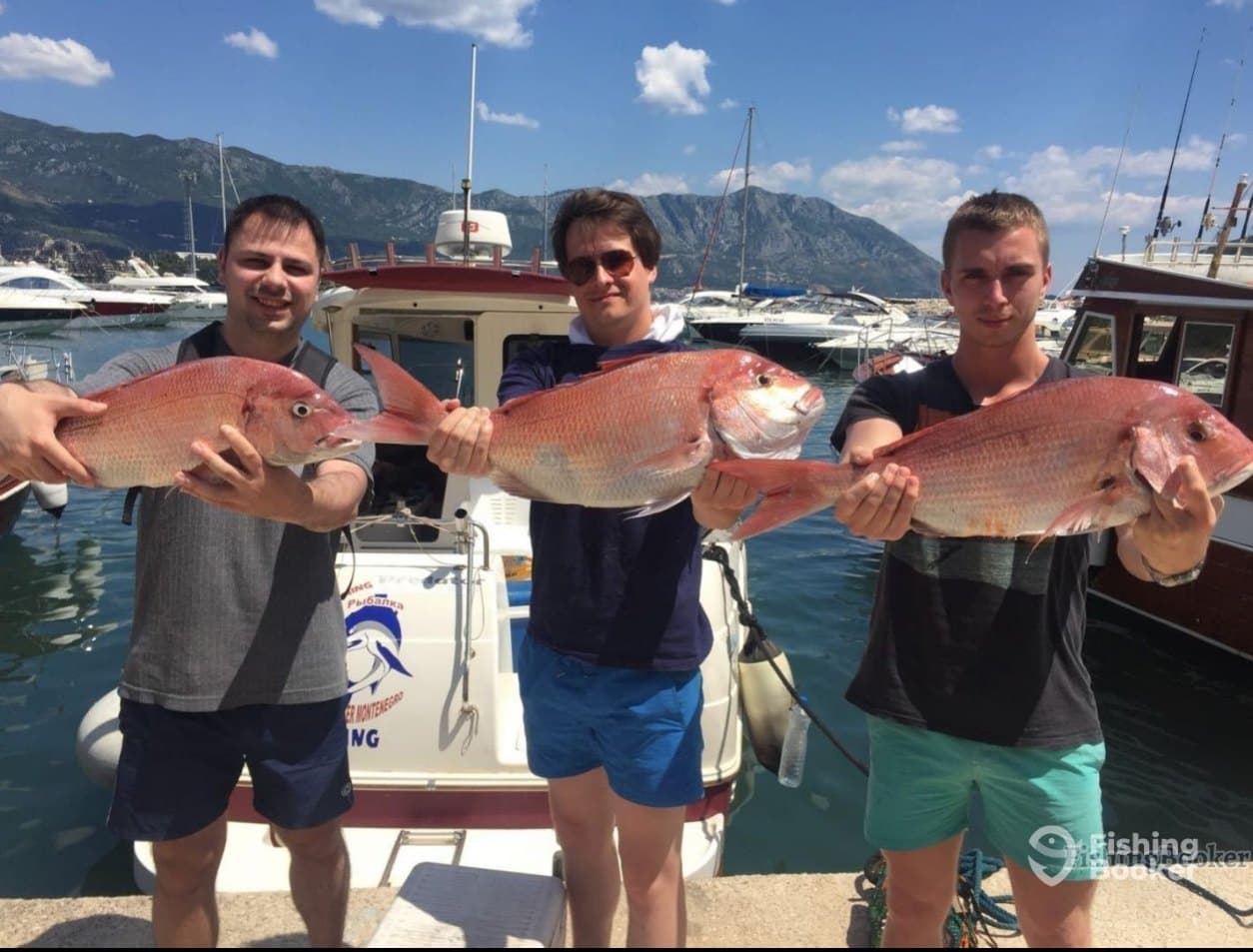 Big game tuna fishing from Budva – private boat with a captain
