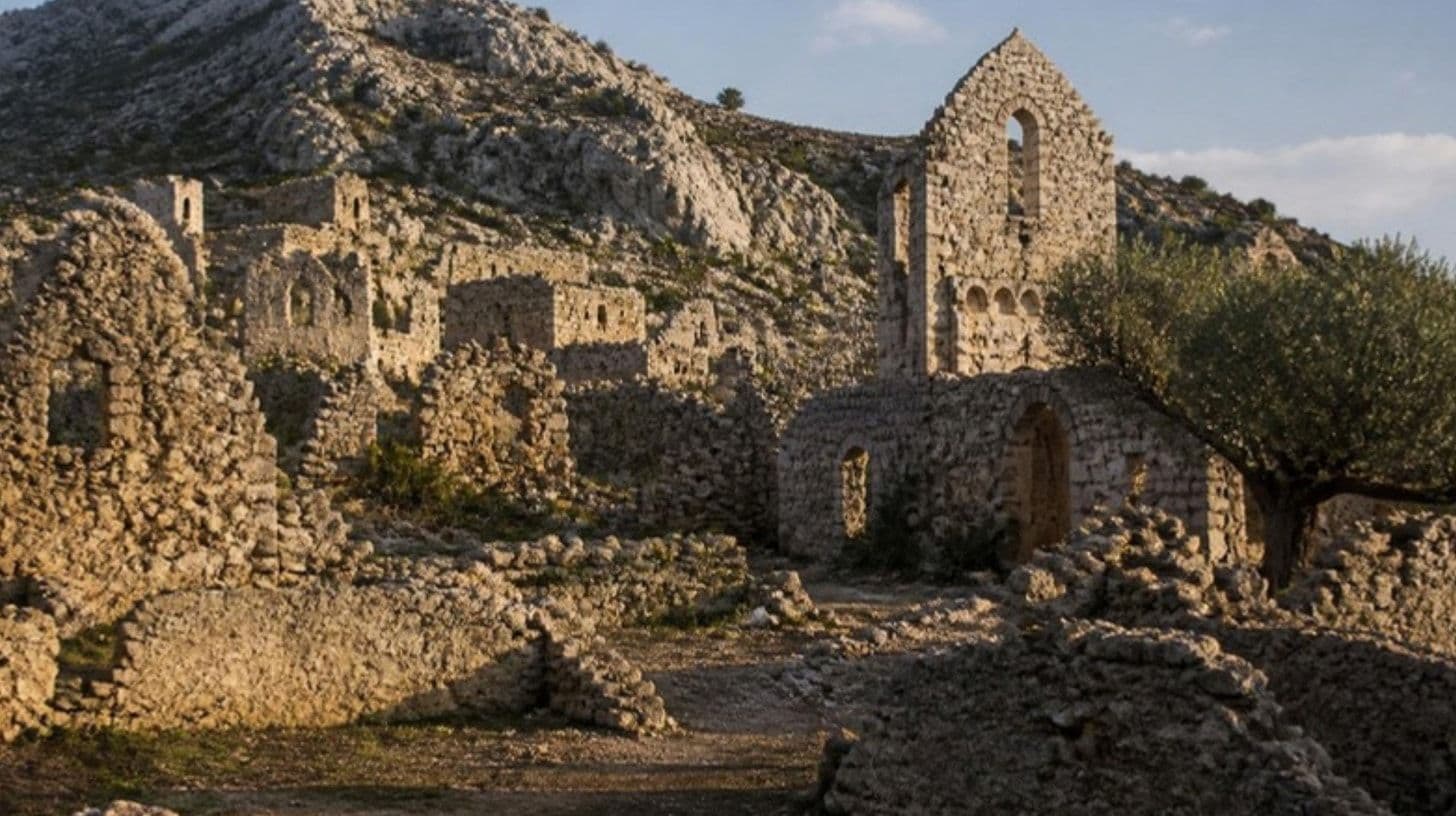 Ruševine srednjovjekovnog grada na brdu sa maslinama