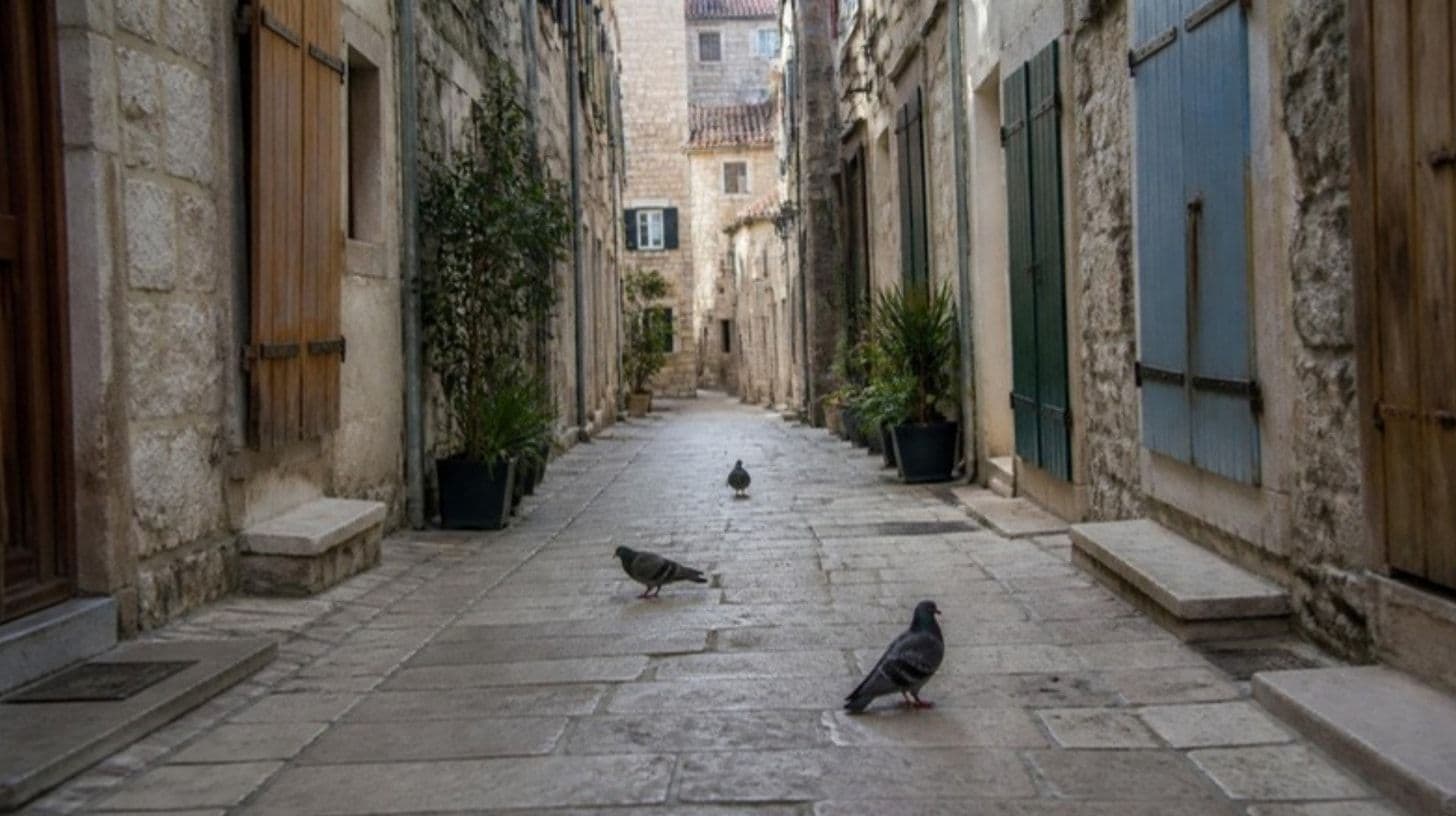 A closed shop and an empty stone street in an old town on a public holiday
