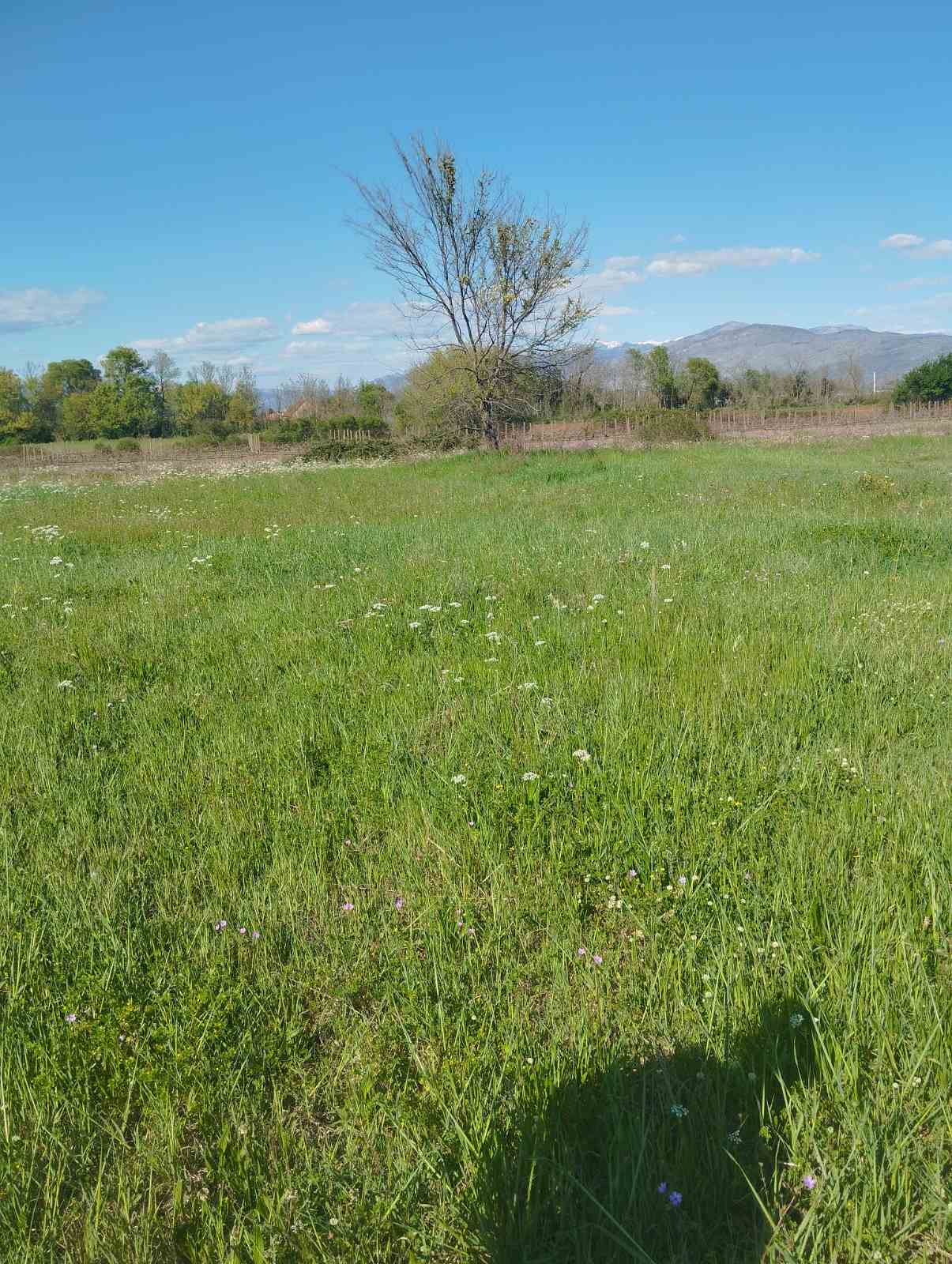 Zeta, Mataguži Yakınında Satılık 7340 m² Tarım Arazisi — 2