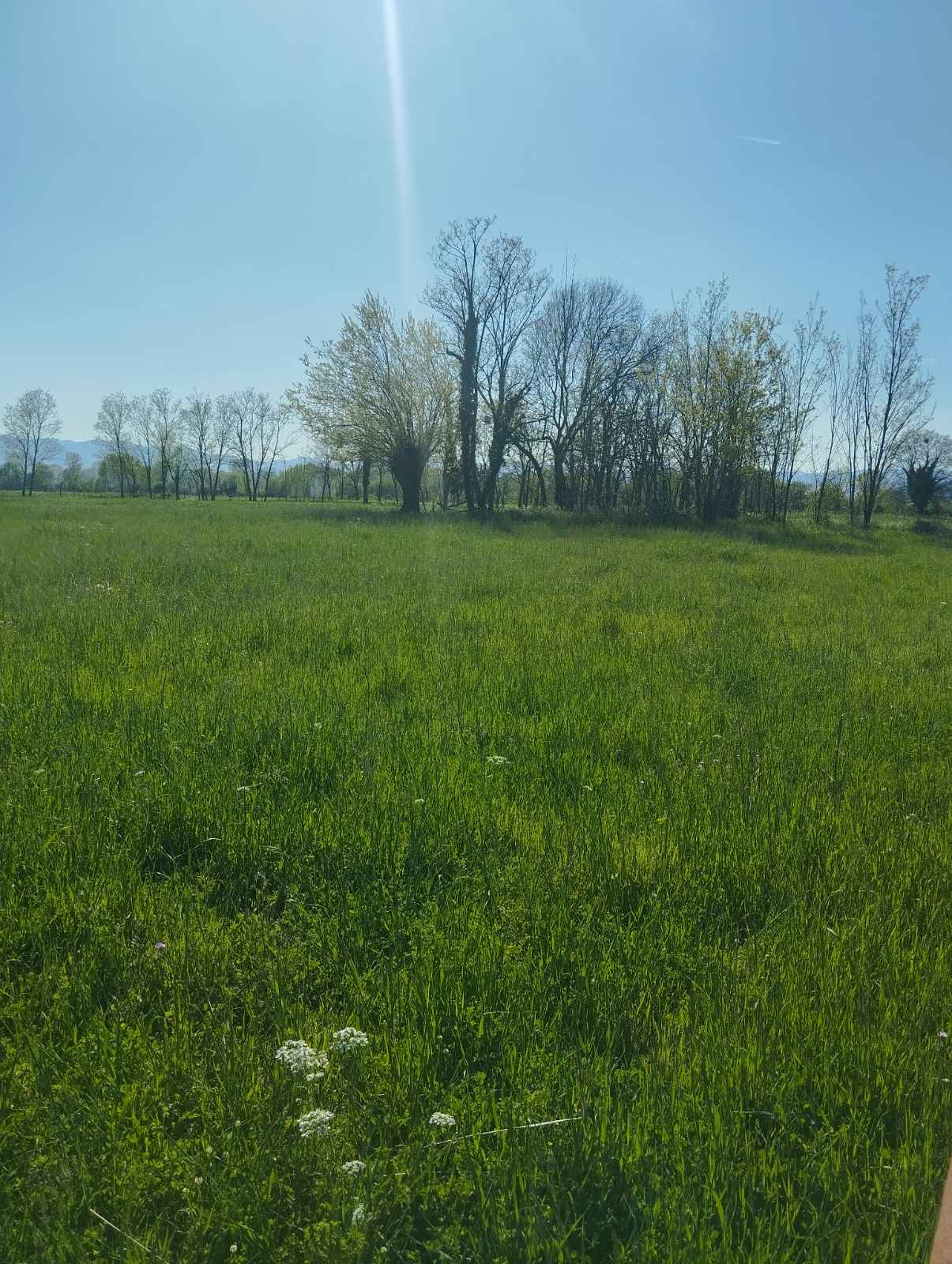 Zeta, Mataguži Yakınında Satılık 7340 m² Tarım Arazisi