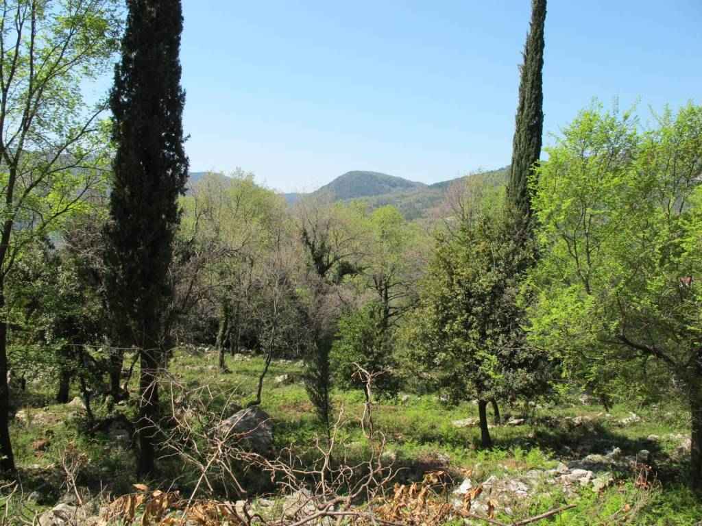 Herceg Novi, Mojdez'de 11.502 m2'lik Arsa, Dağ Manzaralı — 2