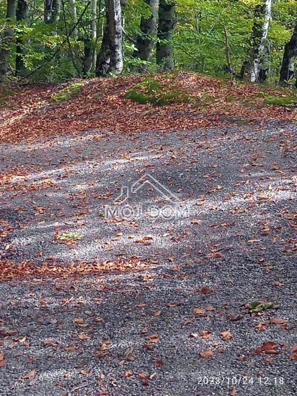 Sprzedaż działki z domem o powierzchni 49 m², Crkvine, Kolašin