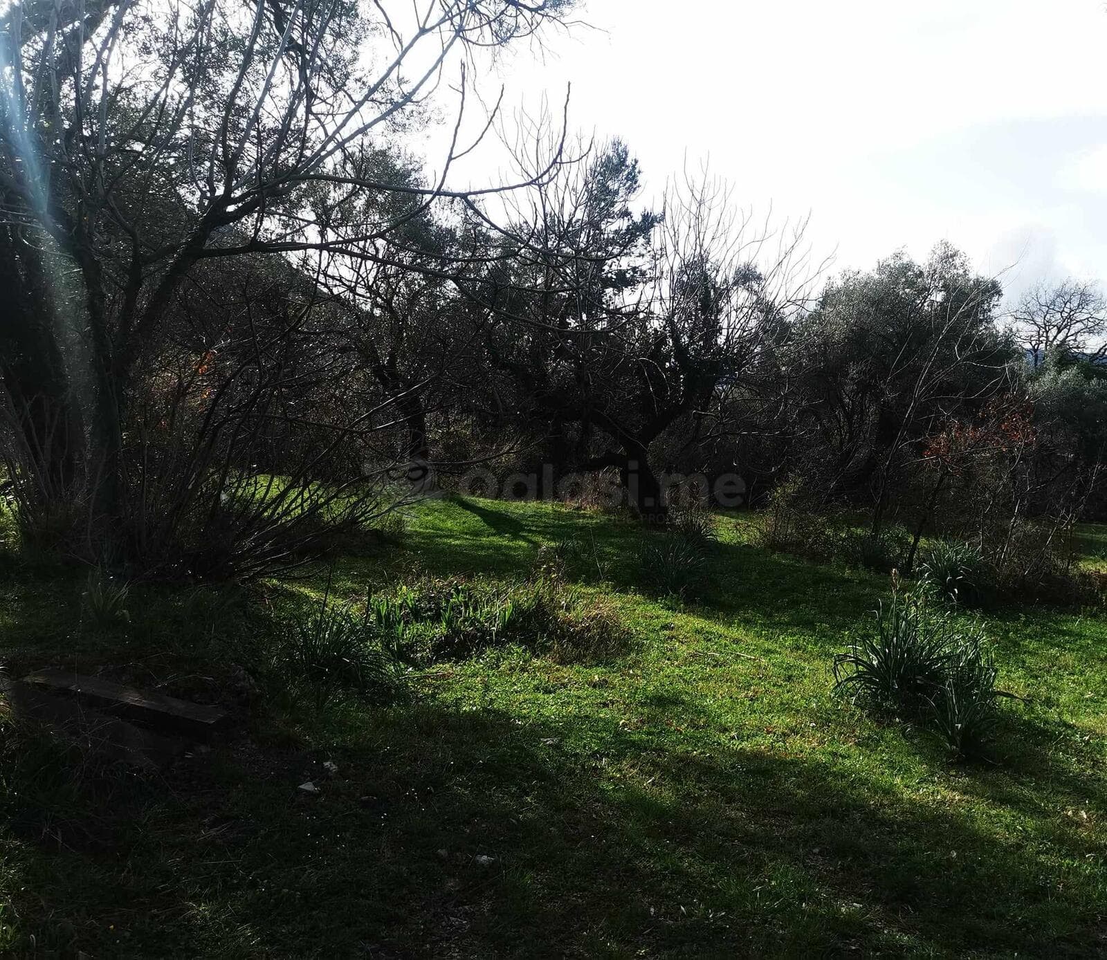 Kavaç'ta Konut Binası İnşaatı İçin Lokasyon BRGP 1740m2 — 2