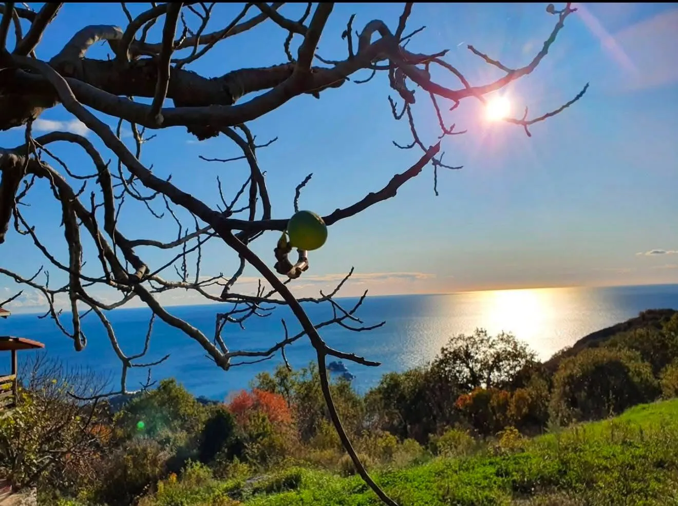 Petrovac, Žukovica'da Panoramik Deniz Manzaralı İmarlı Arsa